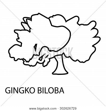 Gingko Biloba Icon. Outline Illustration Of Gingko Biloba Icon For Web