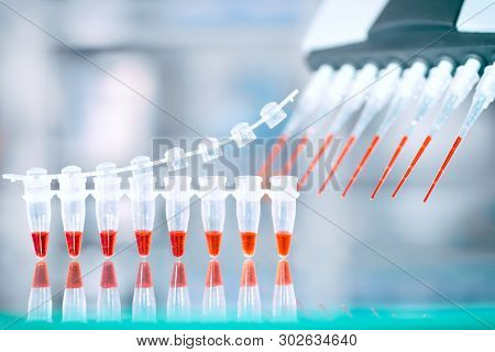 Dna Amplification Test And Reaction Mixture In Multichannel Automatic Pipette, Molecular Biology Bac