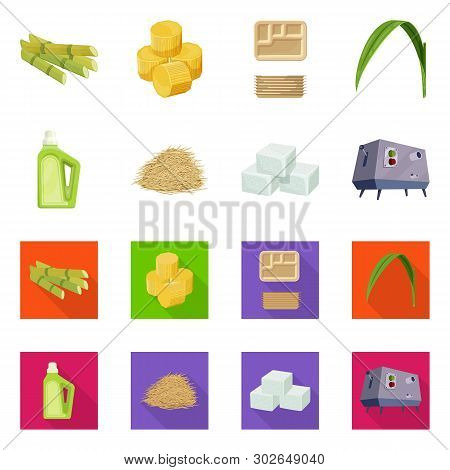 Vector Illustration Of Farm And Agriculture  Icon. Set Of Farm And Technology Vector Icon For Stock.