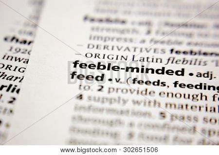 Word Or Phrase Feeble-minded In A Dictionary.