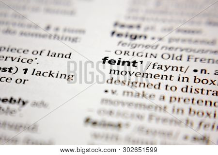 Word Or Phrase Feint In A Dictionary.