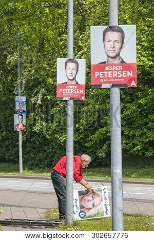 Haderslev, Denmark - May 15 - 2019: Senior Citizen Hanging Up Political Posters For The Goverment El