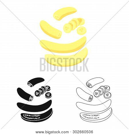 Vector Illustration Of Banana And Food Icon. Collection Of Banana And Peeled Vector Icon For Stock.