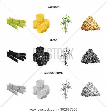 Isolated Object Of Farm And Agriculture  Icon. Collection Of Farm And Technology Stock Vector Illust