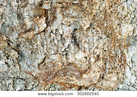Macro View Of Stone Surface Grey, Brown And White Color. Detailed Nature Background Or Pattern Textu