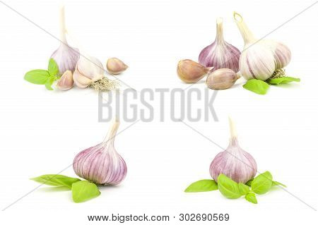Collage Of Garlic Clove Isolated On A White Background Cutout