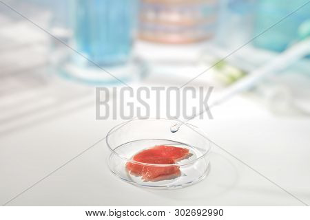 Close-up On Meat Cultured In Laboratory Conditions