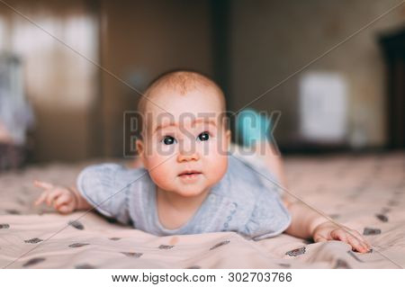 Cute, Dreamy, Thoughtful, Aucasian Baby In Grey Bodysuit Lay On His Stomach On The Bed And Raise His