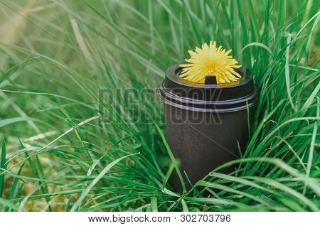 Cardboard Cup Of Coffee With A Dandelion On The Lid On The Background Of Green Grass And Sunlight. M