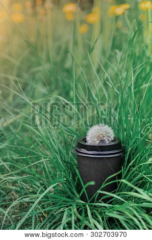 Cardboard Cup Of Coffee With A Dandelion On The Lid On The Background Of Green Grass And Sunlight. M