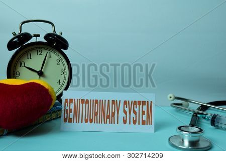 Genitourinary System Planning On Background Of Working Table With Office Supplies. Medical And Healt