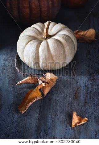 Small White Decorative Pumpkin On Dark Background, Seasonal Decorations With Autumn Leaves