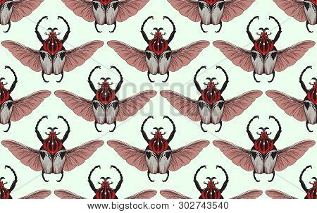 Seamless Pattern With Goliath Beetle. Vector Illustration