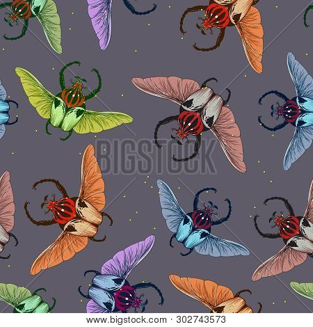 Seamless Pattern With Goliath Beetle. Vector Illustration