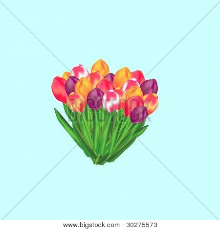Tulipán parta