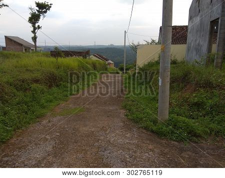 Beautiful Landscape With Green Grass And Cloud