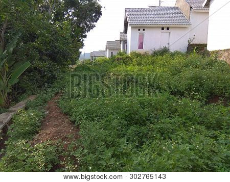 Beautiful Landscape With Home And Green Grass