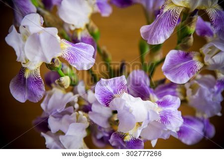 Beautiful Blue Fleuret- Iris. It Is On Wooden Background