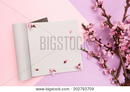 Mock Up Notebook And Sprigs Of The Apricot Tree With Flowers On Pastel Colour Background. He Concept