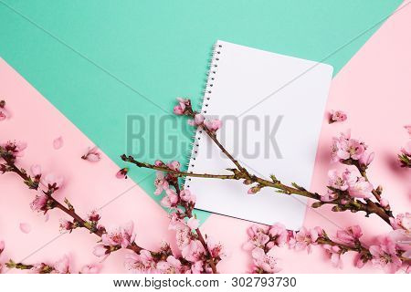 Mock Up Notebook And Sprigs Of The Apricot Tree With Flowers On Pastel Colour Background . Place For