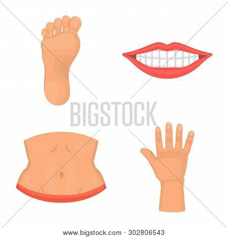 Isolated Object Of Body And Part Symbol. Set Of Body And Anatomy Stock Symbol For Web.