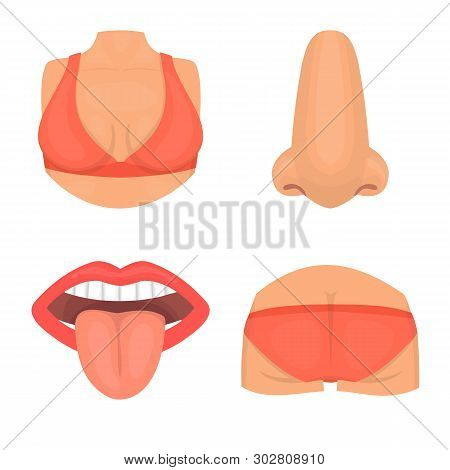 Vector Design Of Body And Part Sign. Set Of Body And Anatomy Stock Vector Illustration.