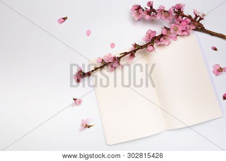 Mock Up Notebook And Sprigs Of The Apricot Tree With Flowers On White Background . Place For Text. T
