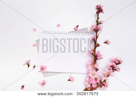 Mock Up Notebook And Sprigs Of The Apricot Tree With Flowers On White Background . Place For Text. T