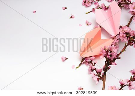 Peach Blossom On White Background And Paper Plane .