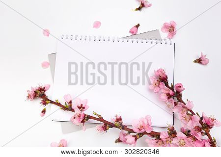 Mock Up Notebook And Sprigs Of The Apricot Tree With Flowers On White Background . Place For Text. T