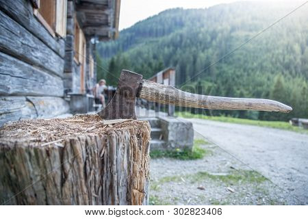 Getting Wood For Fire: Axe Attached To A Tree Trunk