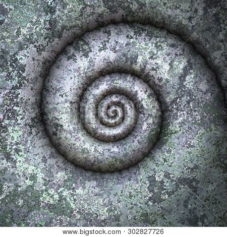 An image of a nice shell petrification