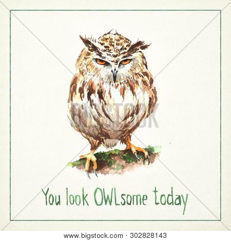 Hand-drawn Watercolor Card With Funny Angry Owl