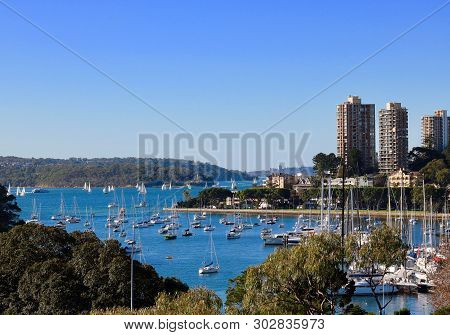 New South Wales - Rushcutters Bay Sydney On An Autumn Day With Blue Sky