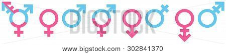 Set Of Different Gender Icons Blue And Pink
