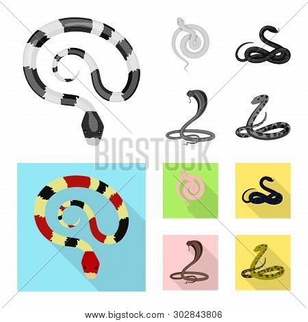 Vector Design Of Mammal And Danger Sign. Collection Of Mammal And Medicine Stock Vector Illustration