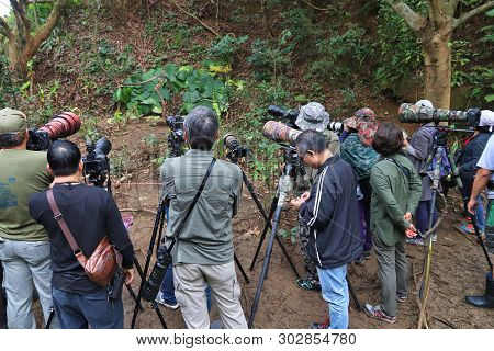 Yehliu, Taiwan - November 24, 2018: Bird Watching Photographers Visit Yehliu Geopark In Taiwan. Yehl