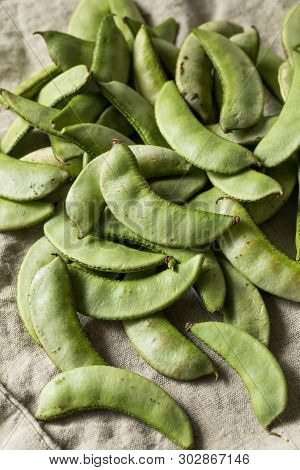 Raw Green Organic Indian Desi Papdi