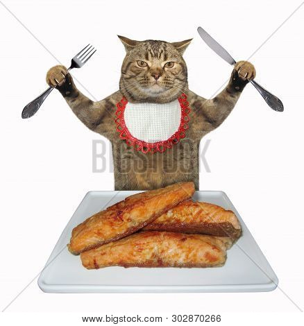The Cat With A Knife And A Fork Sits In Front Of The Square Plate Of Fried Trout. White Background. 