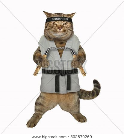 The Cat Karate Fighter In A Kimono With A Black Belt And Headband Is Making Exercise With Nunchuck. 