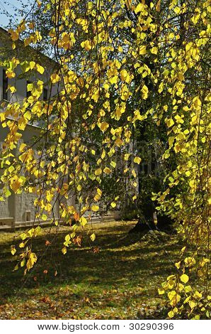 Autunno dorato