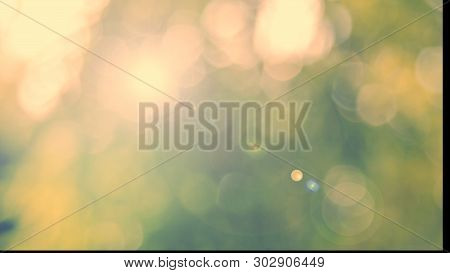 Nature Yellow Bokeh Sun Light Flare And Blur Leaf Abstract Texture Background, Blurred Natural Green
