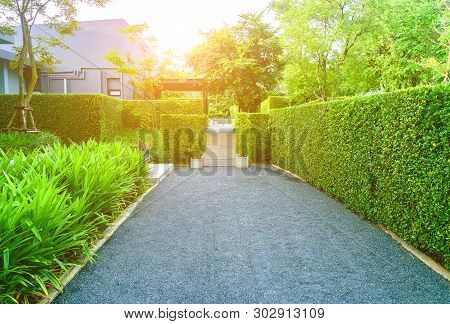 Asphalt Road In The Garden Of The House Entrance, The Home Side Street In A Green Lawn, Front Yard F