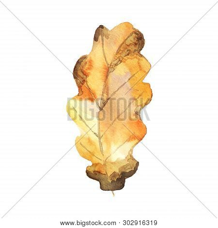 Watercolor Autumnal Leaf. Brown And Orange Shades.