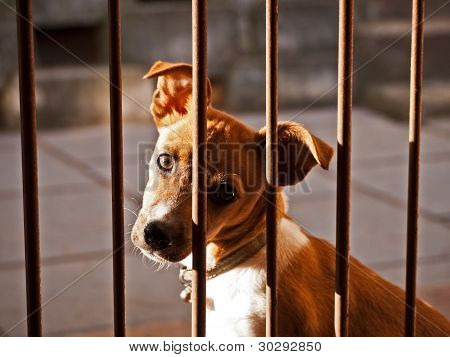 Imprisoned