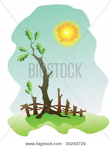 Oak vector illustration