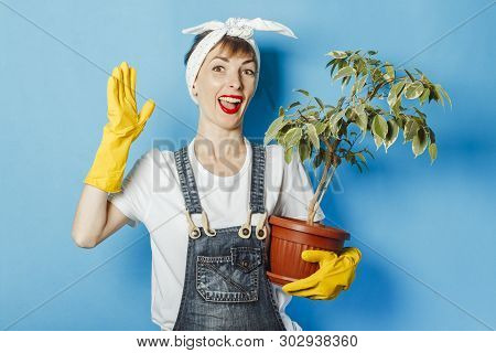 Young Woman In Rubber Gloves Holds A Flower Against A Blue Background. Cleaning Concept, Cleaning Se
