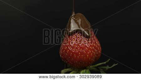 Ripe Juicy Strawberry Are Poured Over Melted Dark Chocolate On A Dark Background. Front View. Strawb