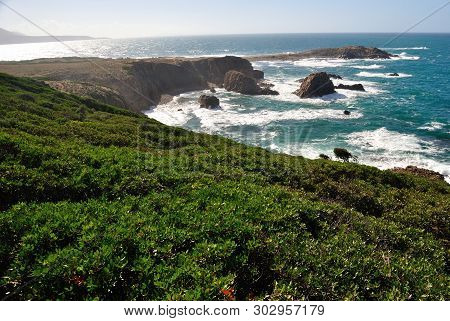 View Of The Coast Of Capo Pecora, Arbus