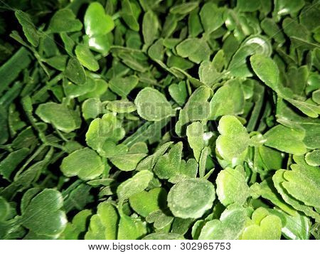 A Picture Of Artificial Green Grass With Dark Background